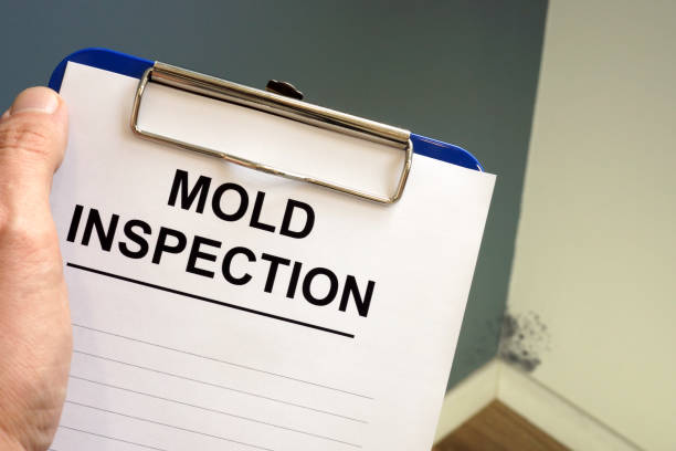 Best Forensic Mold Investigation  in Grottoes, VA